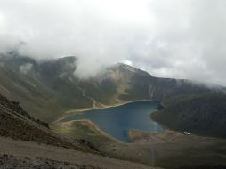 Revelan que investigaciones recientes arrojan que en este parque existen al menos 32 especies de hongos comestibles. AP / ARCHIVO