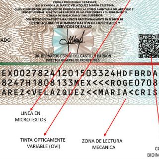 Expide SEP nueva Cédula Profesional