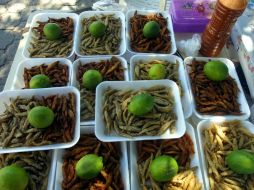 Dorado con sal, chile y empanizado para botana, son entre algunas  formas de cómo se pueden degustar los pescaditos de Chapala. EL INFORMADOR / ARCHIVO