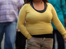 La manipulación de la comunidad de hongos podría ser una herramienta con potencial importancia para el tratamiento de la obesidad. EFE / ARCHIVO