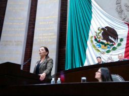 La diputada priista, Carolina Monroy propone su creación con el fin de recuperar la confianza de la ciudadanía. TWITTER / @DiputadosPRI