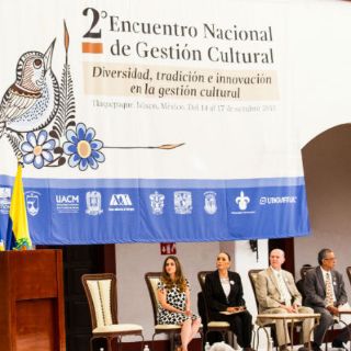 Gestión cultural, hacia la profesionalización