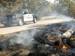 En los últimos dos días se afectaron alrededor de mil 700 hectáreas. AP / J. Janner