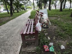 En la primera etapa se contempla la limpieza de las áreas a recuperar. EL INFORMADOR / ARCHIVO