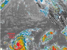 'Olaf' se ubica aproximadamente a dos mil 065 kilómetros al este-sureste de Hilo, Hawai. TWITTER / @conagua_clima