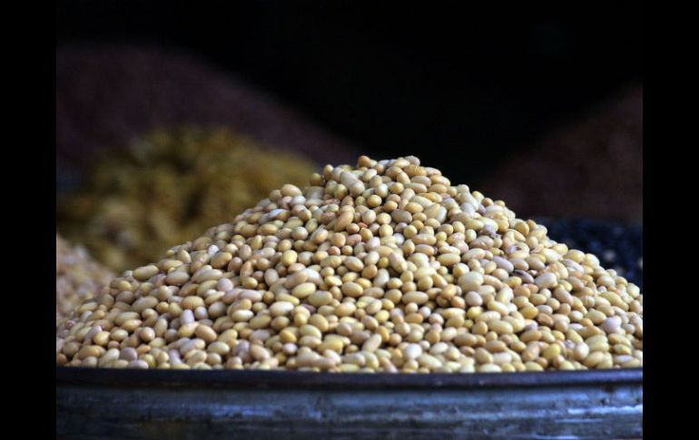 Trabajaron con especies de fríjol a las que les introdujeron genes para aumentar la producción de moléculas que originan ácido fólico. EL INFORMADOR / ARCHIVO