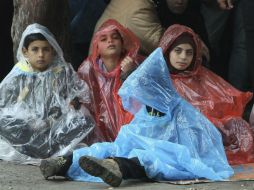 Pese al frío y la lluvia, el número de migrantes que tratan de cruzar va en aumento. EFE / D. Savic