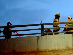 El cuerpo de la víctima fue hallado el pasado 19 de octubre en el Puente de la Concordia. SUN / ARCHIVO