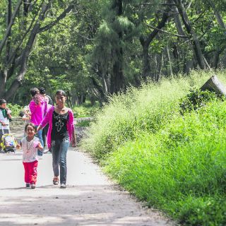 Unidades deportivas están en el desamparo