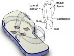 Tendrá un sistema de vibración para guiar los pasos que obedecerá indicaciones de GPS. ESPECIAL / up.edu.mx
