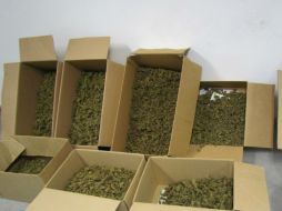 El padre del secuestro tenía una deuda por no haber vendido 90 kilos de mariguana del cártel en donde ellos trabajaban. EL INFORMADOR / ARCHIVO