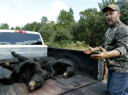 Los defensores de los animales criticaron que se activara tan rápidamente la temporada de caza. AP / L. Santana / The Tampa Bay Times