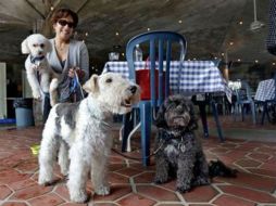 Los entusiastas del mejor amigo del hombre se manifestaron encantados. AP / ARCHIVO