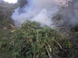 los uniformados estatales dieron vista al  Agente del Ministerio Público Federal para las investigaciones correspondientes. ESPECIAL / Fiscalía