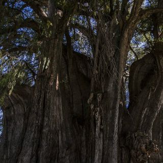 Hallan 'casa ecológica' de hace seis mil años