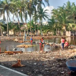 El Itei vigilará entrega de apoyos a afectados por 'Patricia'