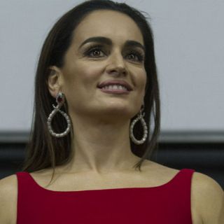 De la Reguera alista serie de televisión autobiográfica