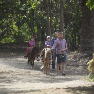 La Semadet gana una batalla legal para proteger Los Colomos
