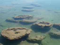 Vestigios y tesoros del pasado que se encuentran en nuestro planeta. EL INFORMADOR / P. Fernández