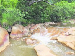 Un buen trecho del Arroyo, lo bordea el sendero del legendario mineral de Cuale. EL INFORMADOR / V. García Remus