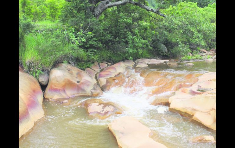 Un buen trecho del Arroyo, lo bordea el sendero del legendario mineral de Cuale. EL INFORMADOR / V. García Remus