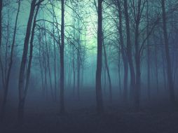 La literatura no conoce de límites al momento de crear historias. ESPECIAL / Wikimedia