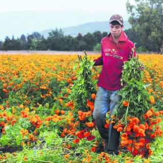 El olor de la vida y el trabajo