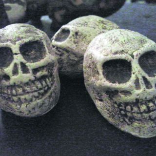 Calaveras, calabazas