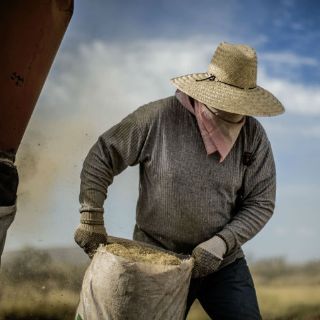 El PRI busca impulsar reformas al campo