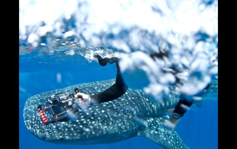 Uno de sus objetivos es dar a conocer la biodiversidad de México. EFE / Del Villar