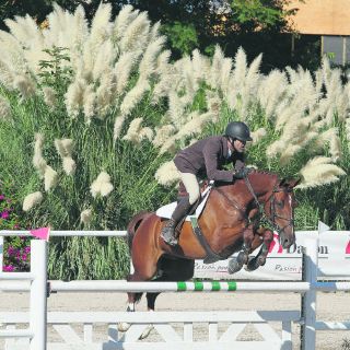 Rodrigo Gómez, profeta en su tierra