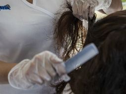 La SSJ atiende reportes anónimos en escuelas o albergues al 3030 5000, extensiones 35411 y 35047. EL INFORMADOR / ARCHIVO