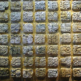 Investigadores avanzan en traducción de escritura maya