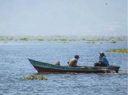 Las precipitaciones de esta temporada de lluvias ya ayudaron a superar la recuperación de Chapala del 2014. EL INFORMADOR / ARCHIVO