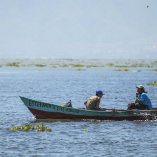 Lluvias recientes dejan beneficios a Chapala