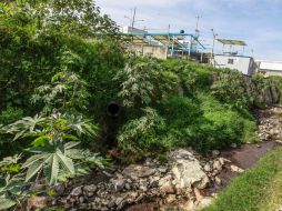 El desastre afectó a unas 23 especies de peces del río. EL INFORMADOR / ARCHIVO