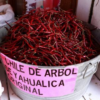 Entregan al IMPI expediente para denominación del chile de Yahualica