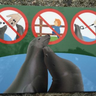 Zoológico de Viena prohíbe la entrada a palos para 'selfie'