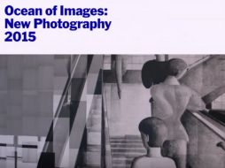 Se escogieron cerca de 80 imágenes de 19 artistas internacionales, para representar fotografías en movimiento. YOUTUBE /  Museum of Modern Art