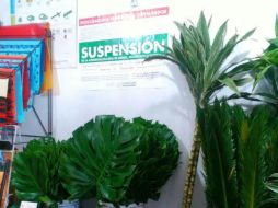 La Profeco efectuó 92 visitas de verificación a cementerios y mercados con ventas de flores. ESPECIAL / Profeco Jalisco