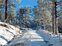 El gobernador Federico Vega, compartió en su Twitter, imágenes de la nieve en el lugar. TWITTER / @kikovega_