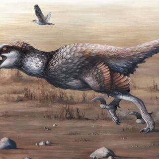 Descubren enorme dinosaurio que vivió hace 66 millones de años