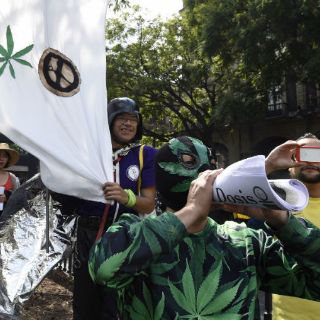 Sector salud, contra el uso recreativo de la mariguana