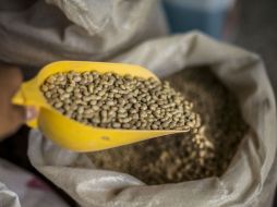 Una regla básica es unir un grano entero con una leguminosa. EL INFORMADOR / ARCHIVO