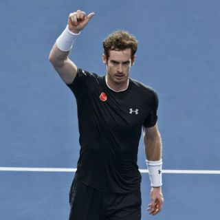Murray domina a Ferrer y alcanza final en París