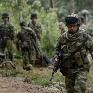 Las FARC piden protección constitucional que evite extradición