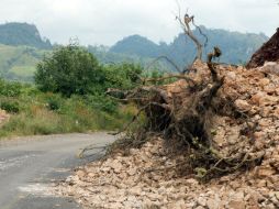 Los puntos más afectados por los derrumbes se registraron en la carretera que enlaza las ciudades de El Vigía y Mérida. EL INFORMADOR / ARCHIVO