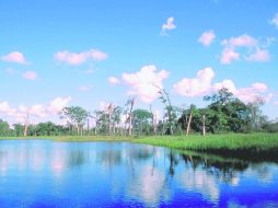 Sur, un país con mucho por presumir. ESPECIAL / Flickr