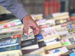 Pequeñas atracciones. Una mesa de insectos es también atractivo de esta feria. EL INFORMADOR / F. Atilano