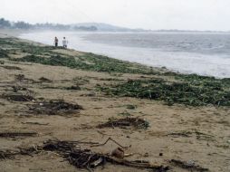 Luego del fenómeno natural, se debe reactivar la economía en la zona. EL INFORMADOR / ARCHIVO